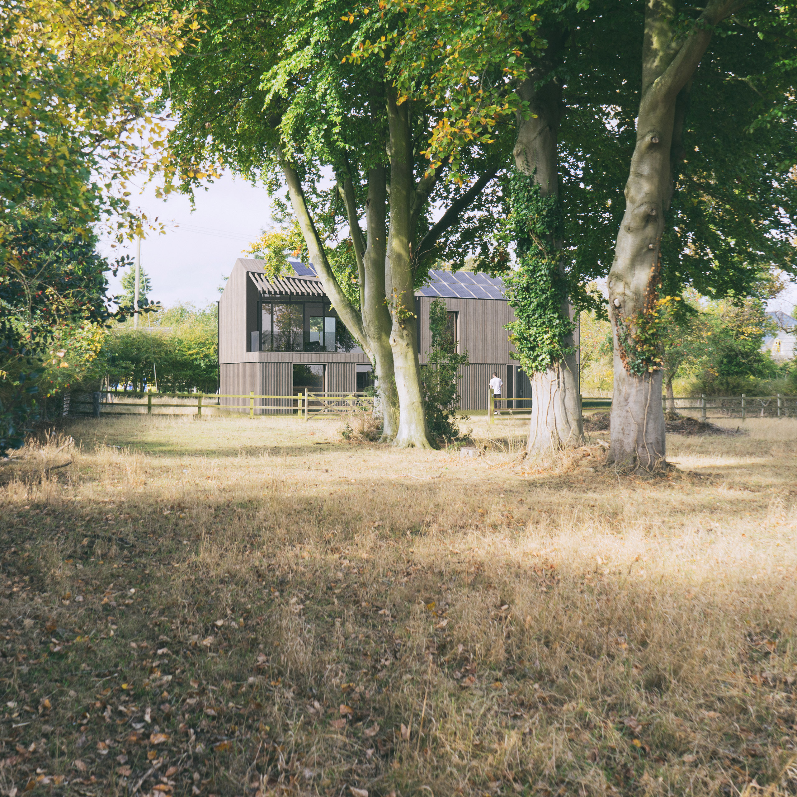 3d detail render of the Beeches rear elevation