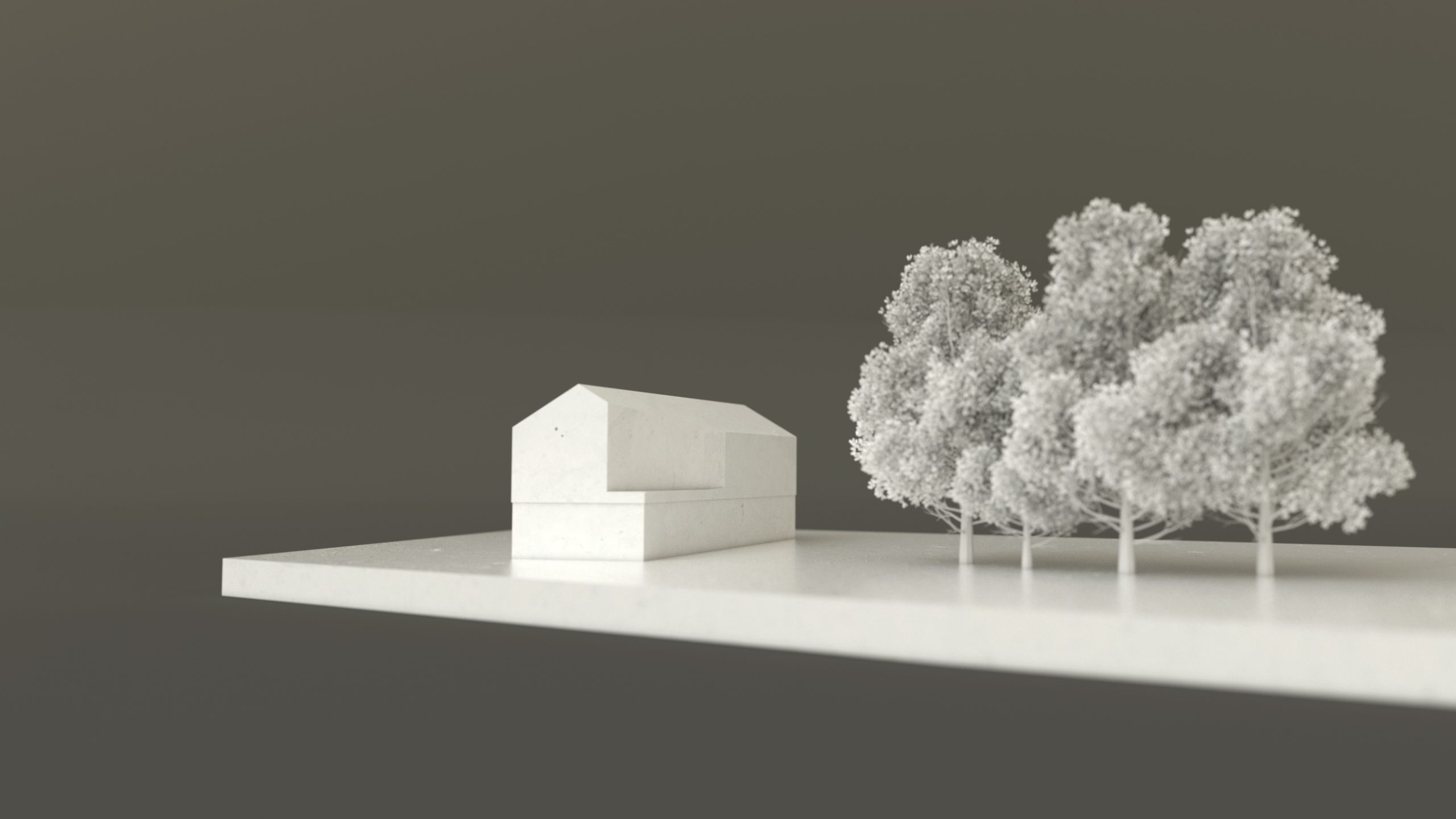 Concept model of the Beeches, showing the house in relation to the established Beech trees