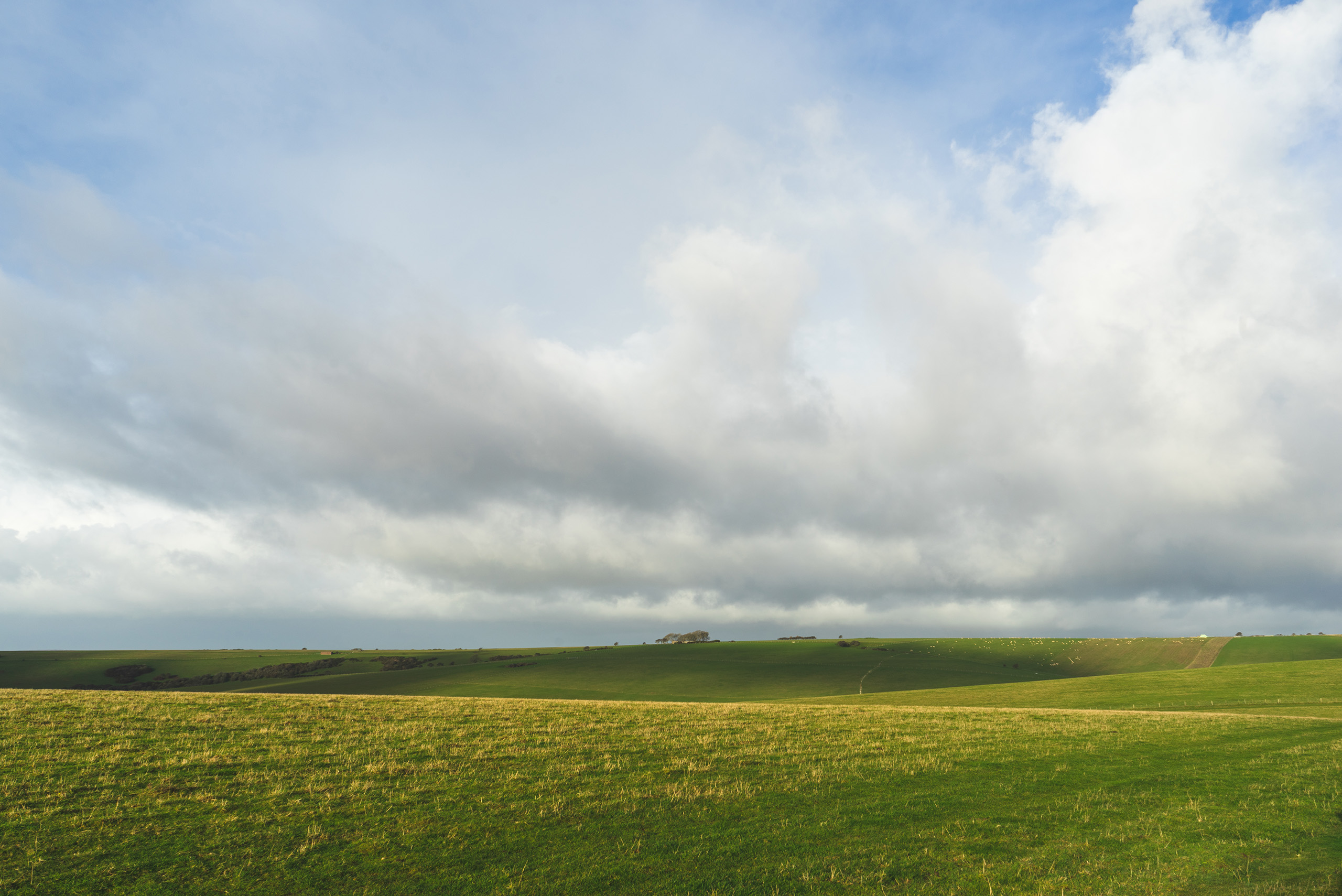 A view across the South Downs