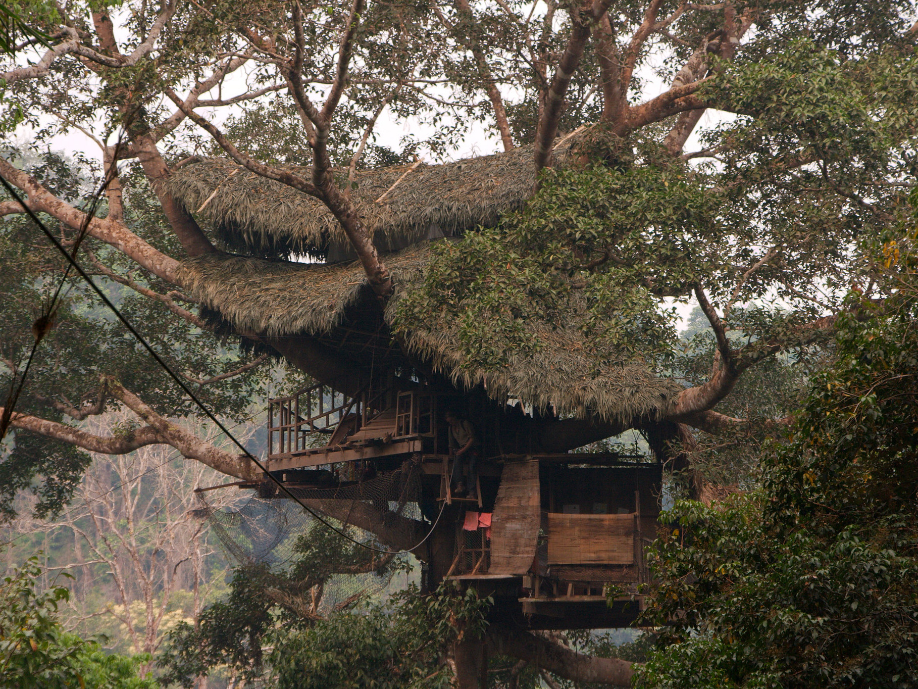 The Gibbon Experience in Laos