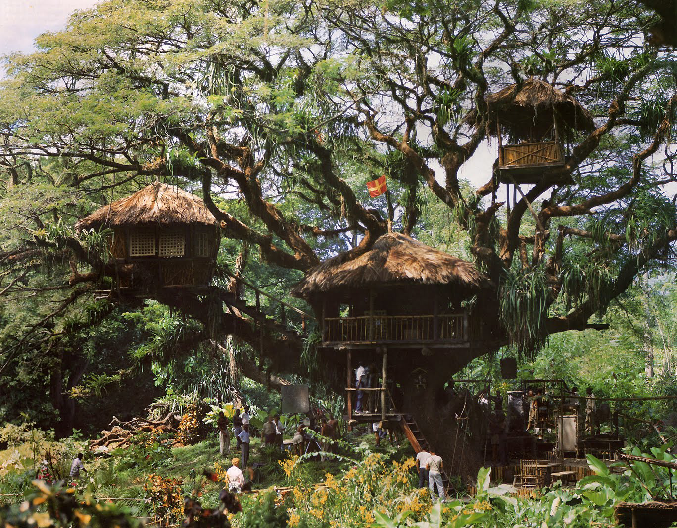 Set production photo of the Swiss Family Robinson treehouse, 1959 by Art Director John Howell, via Kevin Kidney